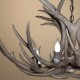 Mule Deer Chandeliers